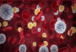 immunometabolismo