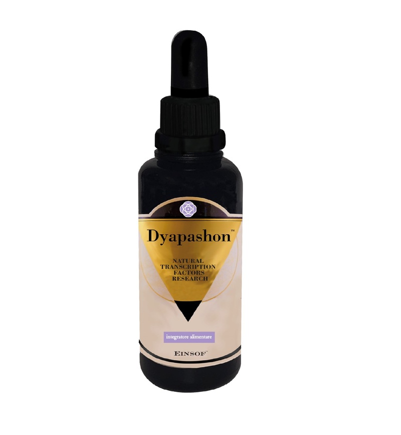 DYAPASHON - BOCCETTA (2)